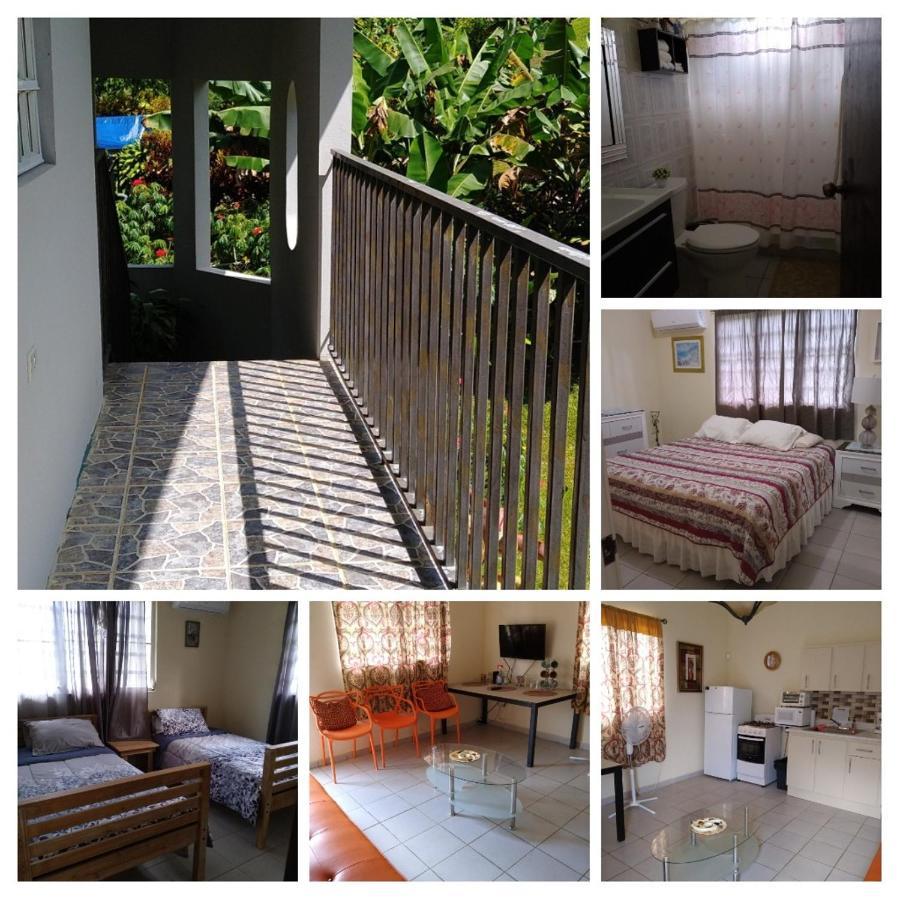 Casa De Campo Rio Arriba 阿雷西博 外观 照片