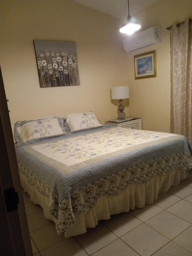 Casa De Campo Rio Arriba 阿雷西博 外观 照片