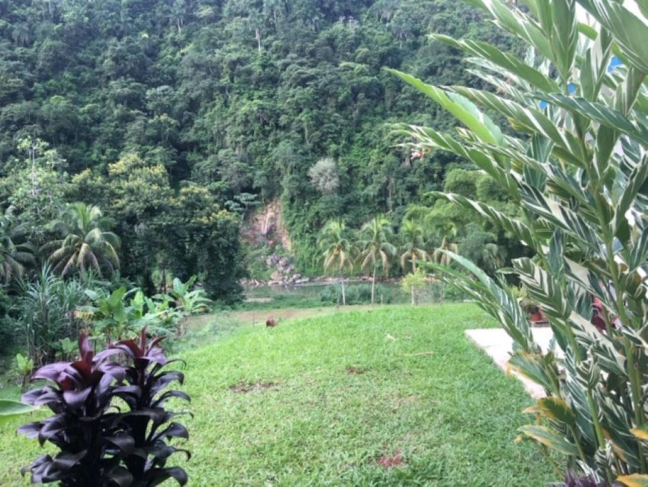 Casa De Campo Rio Arriba 阿雷西博 外观 照片